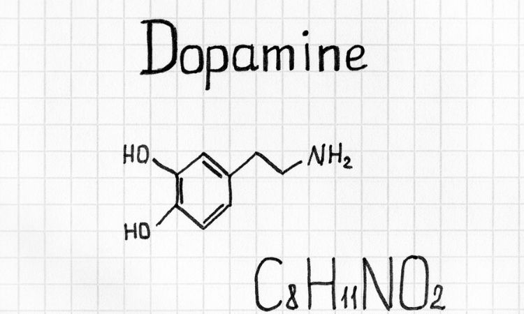 How to Increase Dopamine Levels Naturally 